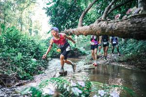 BIB: 
                            <button type="button" onclick="openModal(25435842)" class="btn btn-primary btn-sm float-right btn-popup" data-toggle="modal" data-target=".modal-high-quality">
                        <i class="fas fa-shopping-cart"></i> Add to Cart
                    </button>
                                            <button type="button" onclick="isThisMe(25435842, true)" class="btn btn-success btn-sm float-right btn-popup btn-isme hidden" data-toggle="tooltip" data-placement="bottom" title="นี่คือรูปของคุณใช่ไหม คลิกที่นี่เพื่อเอาเข้าอัลบั้ม">
                        <i class="fas fa-plus"></i> Add to album
                    </button>
                    <button type="button" onclick="isThisMe(25435842, false)" class="btn btn-warning btn-sm float-right btn-popup btn-isnotme hidden">
                        <i class="fas fa-ban"></i> Remove from album
                    </button>